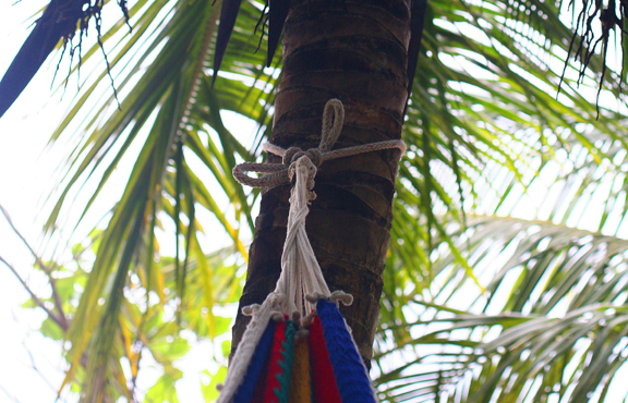 would you like to rest in the hammock?