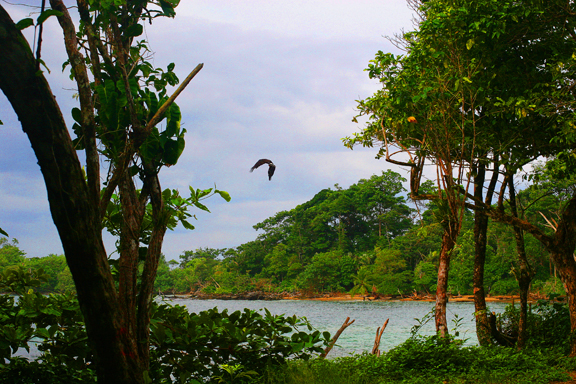 Many faces of Red Frog Beach