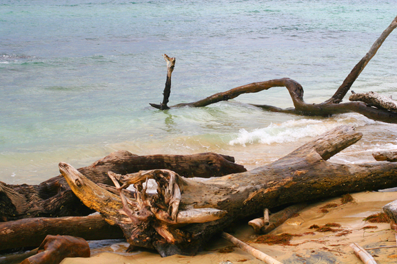 it has been a great day