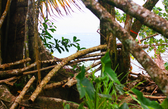 finally at the beach