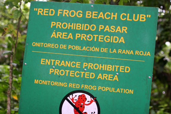 Jungle and Beach everywhere