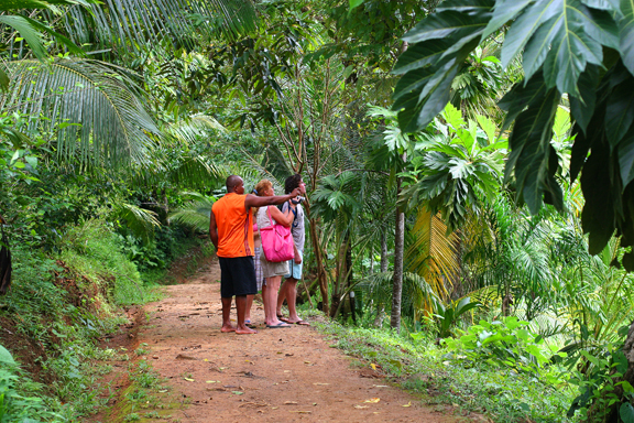 we walk through the rain forest towards the beach