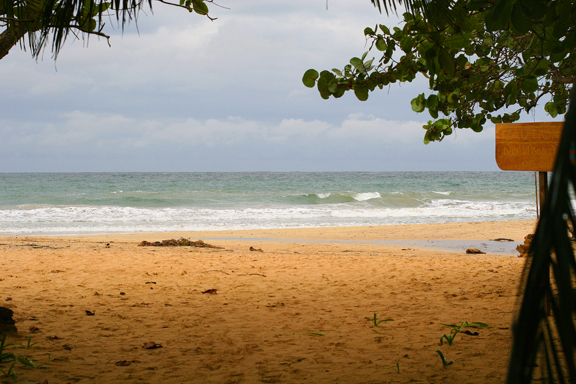 hardly anyone is on the beach