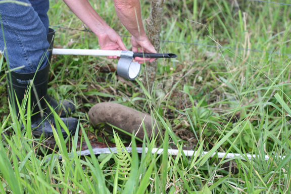 Fixing the Waterline, Panama Style