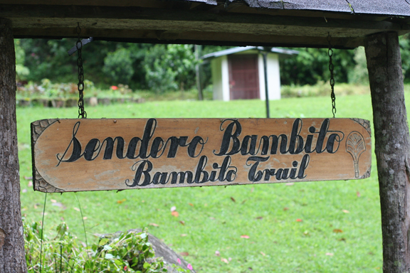 Bambito Trail