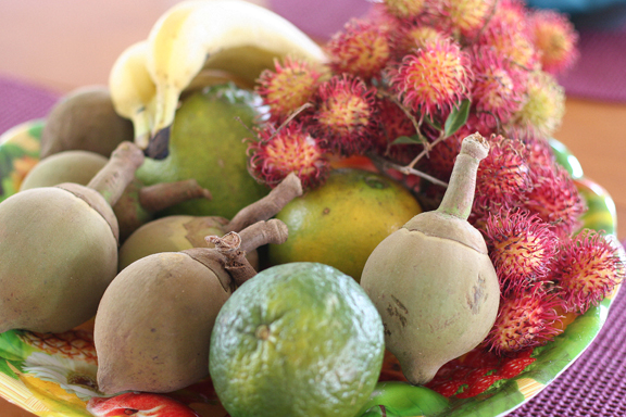Various Panamanian Fruit></td>
	<td colspan=4 height=154></td>
</tr>
<tr valign=