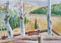 Watercolor of Aspens in Colorado