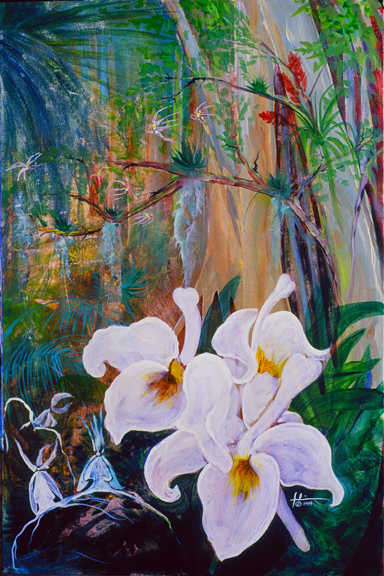 >ORCHID JUNGLE</td>
	<td colspan=3 height=173></td>
</tr>
<br>
<tr valign=